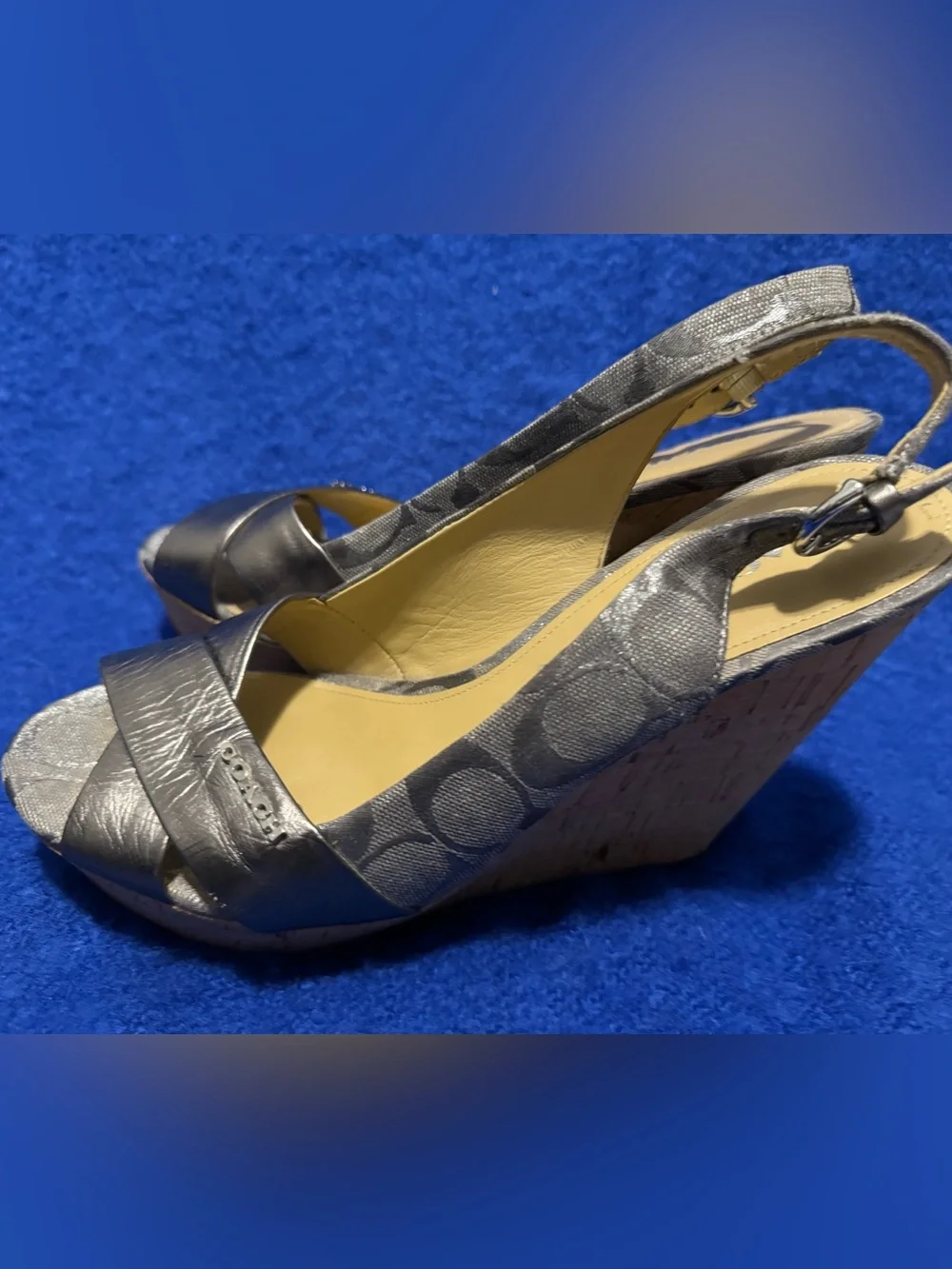COACH FERRY WEDGES: Metallic Gray Slingback Sandals - Women